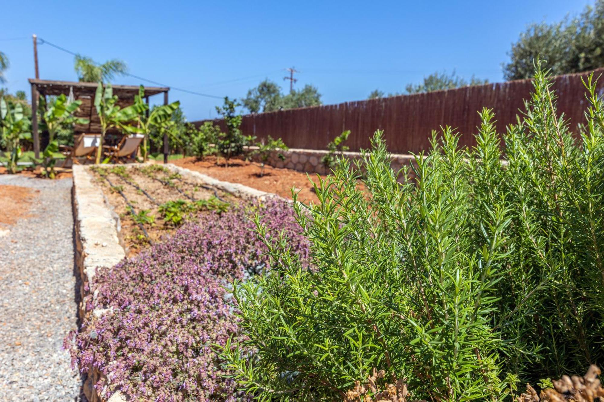Γηorganic Farm And Houses. Херсонисос Екстериор снимка
